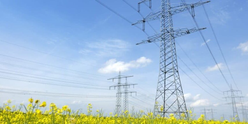 Some pylons in a canola field.