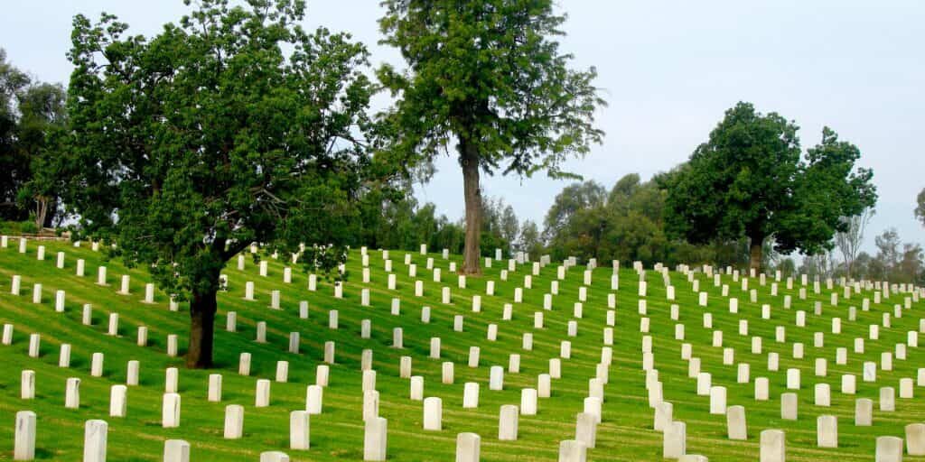 pexels-mr-location-scout-22994825-6644788